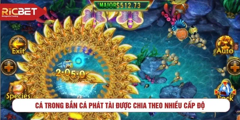 Cá trong bắn cá phát tài được chia theo nhiều cấp độ