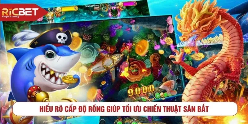Hiểu rõ cấp độ rồng giúp tối ưu chiến thuật săn bắt