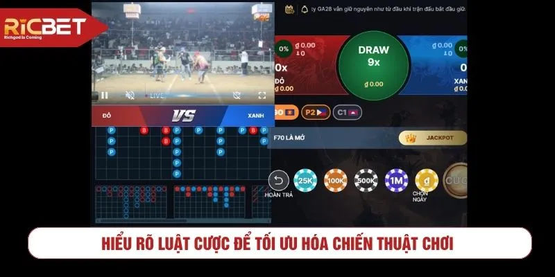 Hiểu rõ luật cược để tối ưu hóa chiến thuật chơi