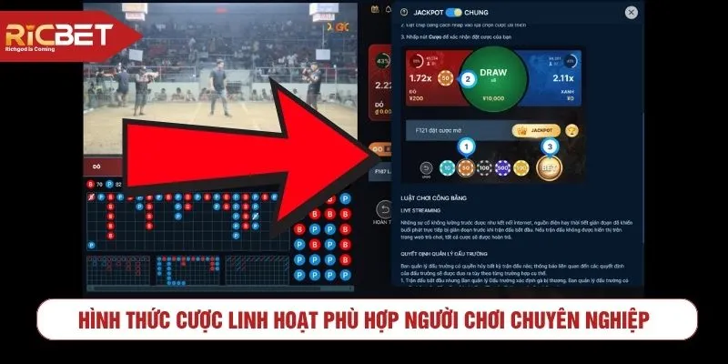 Hình thức cược linh hoạt phù hợp người chơi chuyên nghiệp