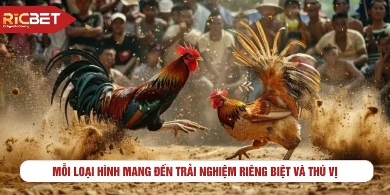 Mỗi loại hình mang đến trải nghiệm riêng biệt và thú vị