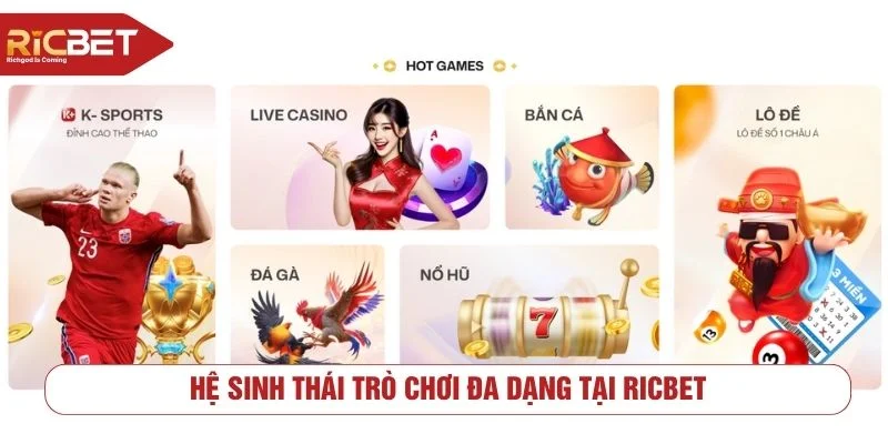 Nền tảng cung cấp nhiều tựa game cá cược trực tuyến đa dạng