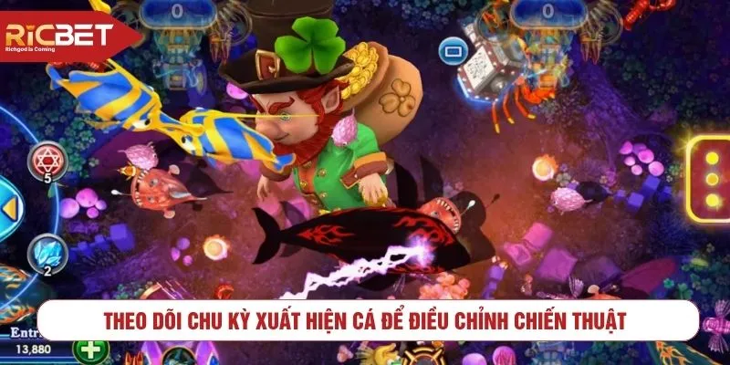 Theo dõi chu kỳ xuất hiện cá để điều chỉnh chiến thuật