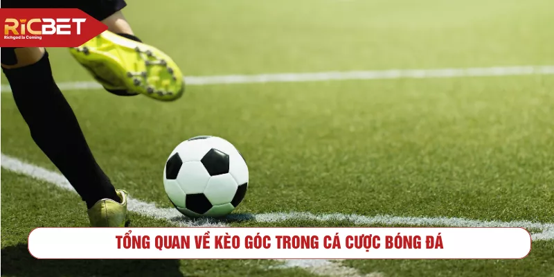 Tổng quan về kèo góc trong cá cược bóng đá